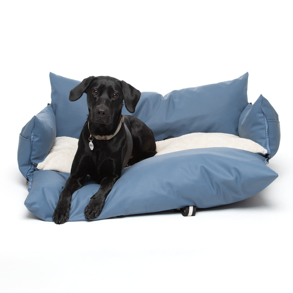 Chien dans le Cocon Nomade bleu