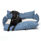 Chien dans le Cocon Nomade bleu