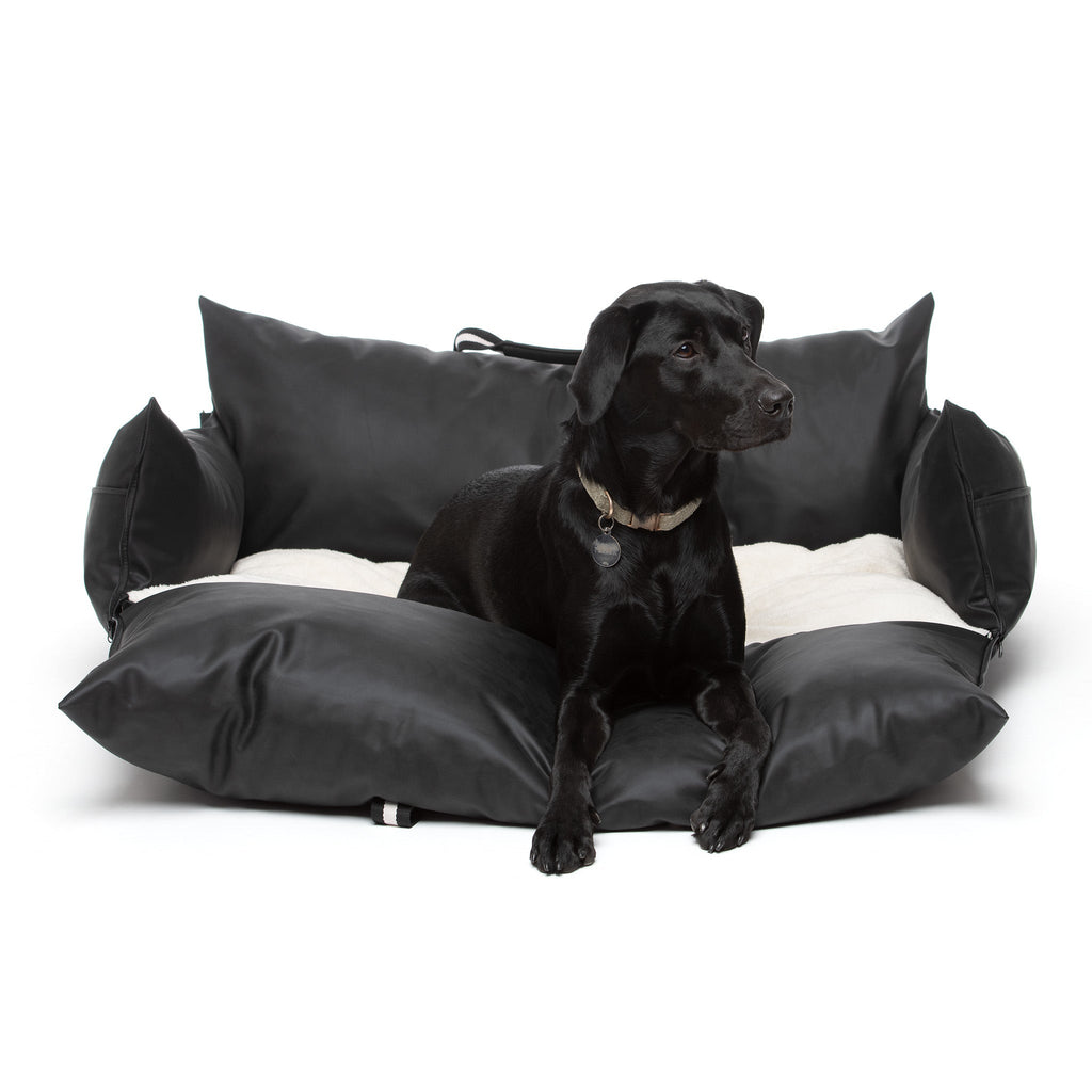 Chien dans le Cocon Nomade noir