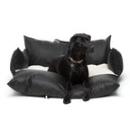 Chien dans le Cocon Nomade noir