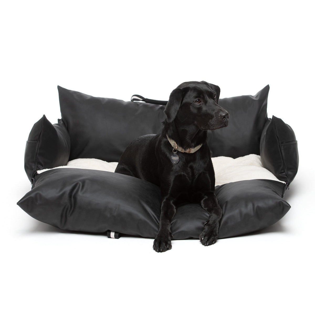 Chien dans le Cocon Nomade noir