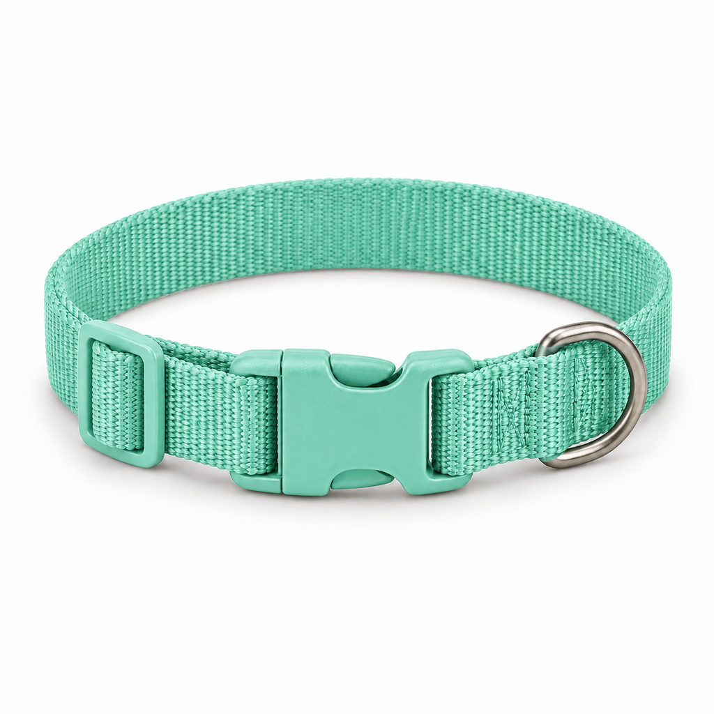 Collier Promenade réglable — Vert menthe