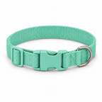 Collier Promenade réglable — Vert menthe