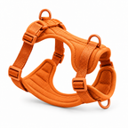 Harnais Promenade — Orange