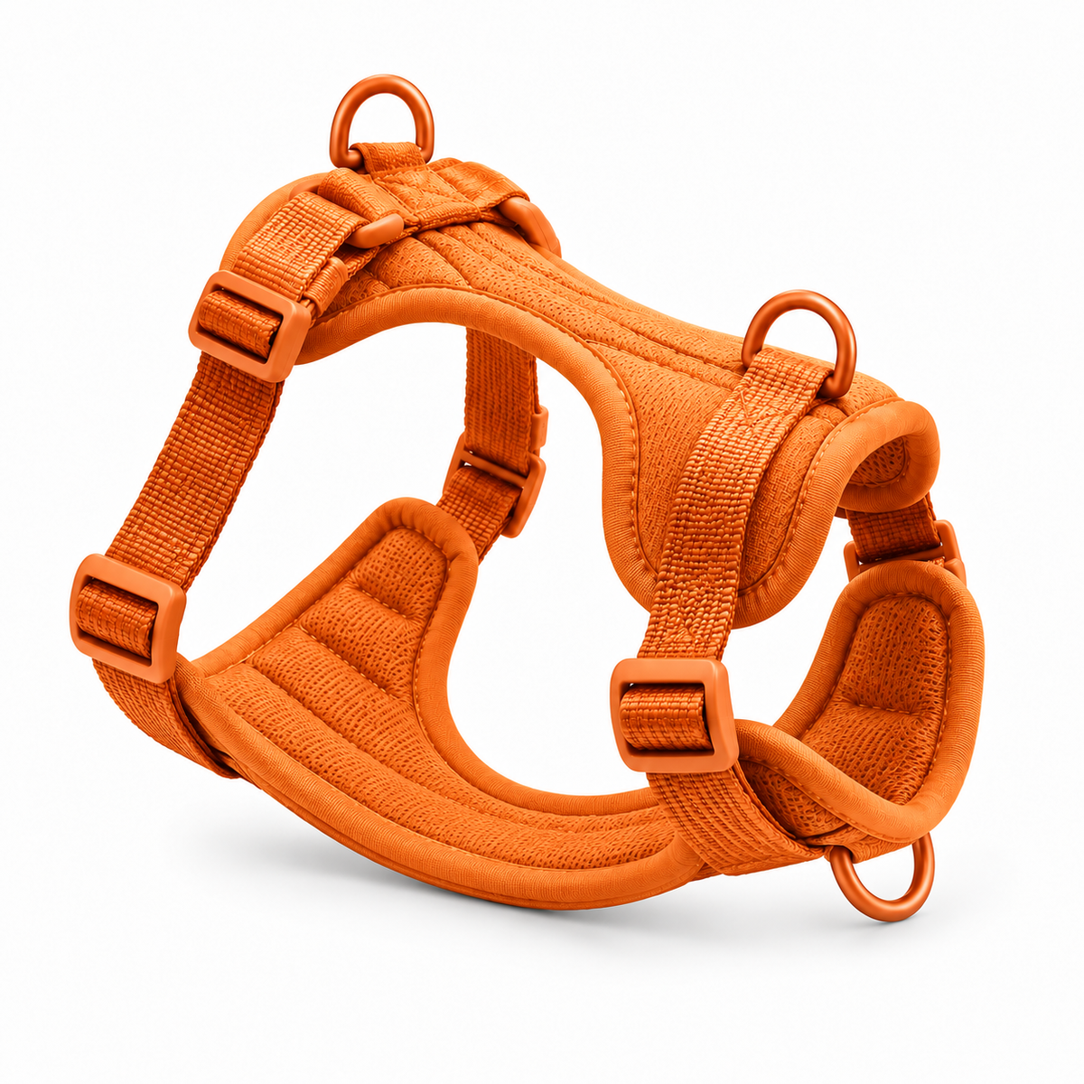 Harnais Promenade — Orange