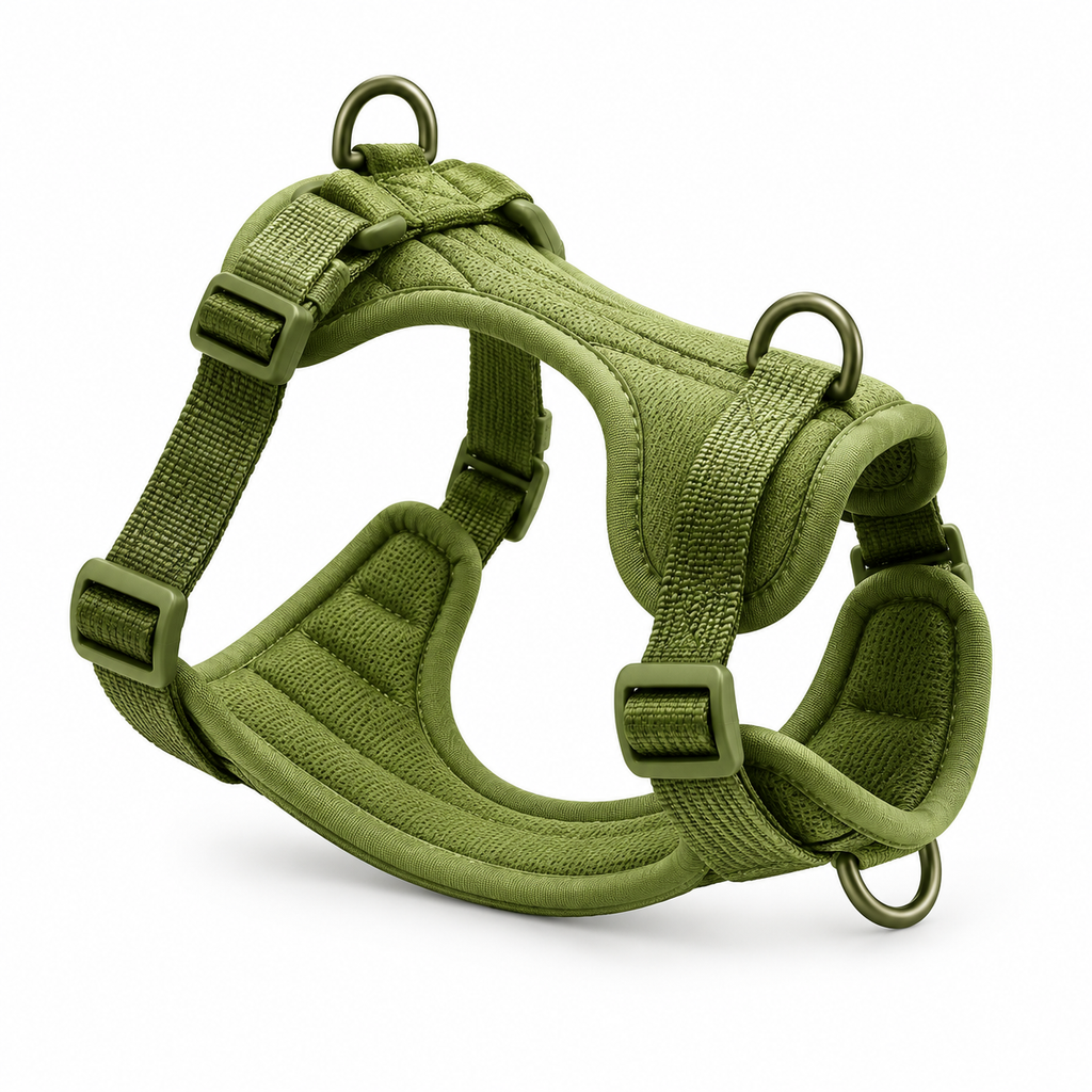 Harnais Promenade — Vert olive